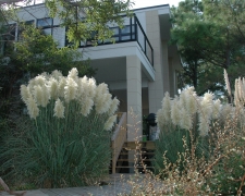 Dalessio 3 (1)